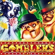 Gamblers5men game icon